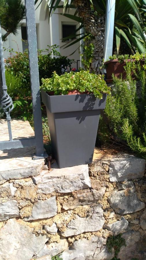 Apartmani Darko Kornić Esterno foto
